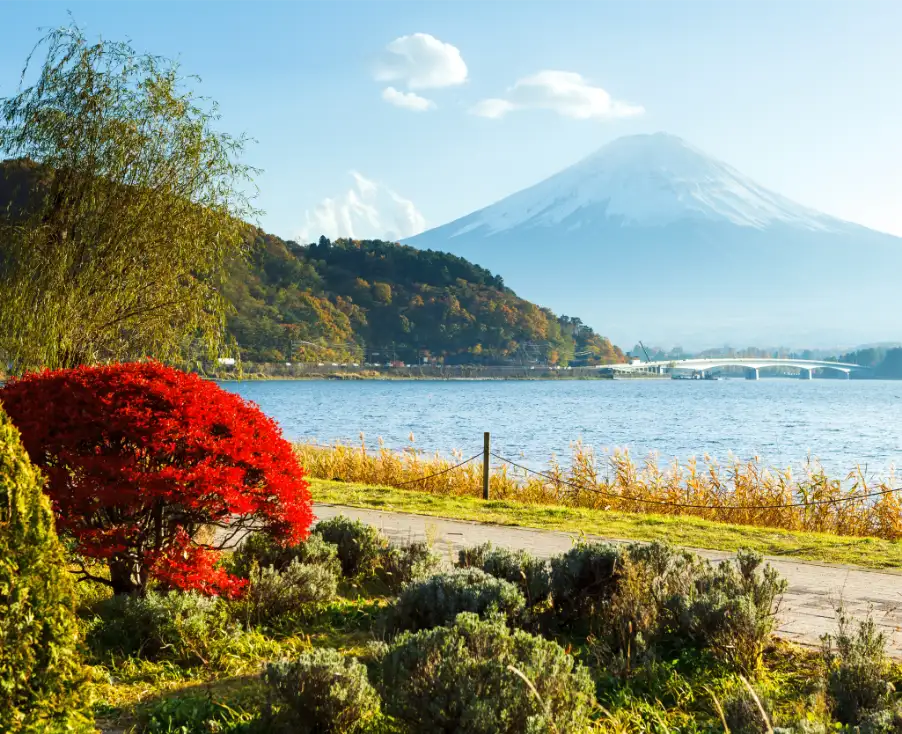 mount_fuji_japan-img (2)